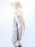MAX REBY Tigre Royal Geneve Vintage Lynx Fur Full length Cape with Hood